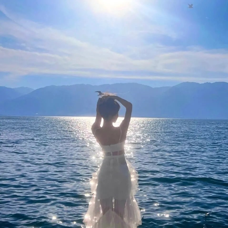 金牌销售2：以身入局